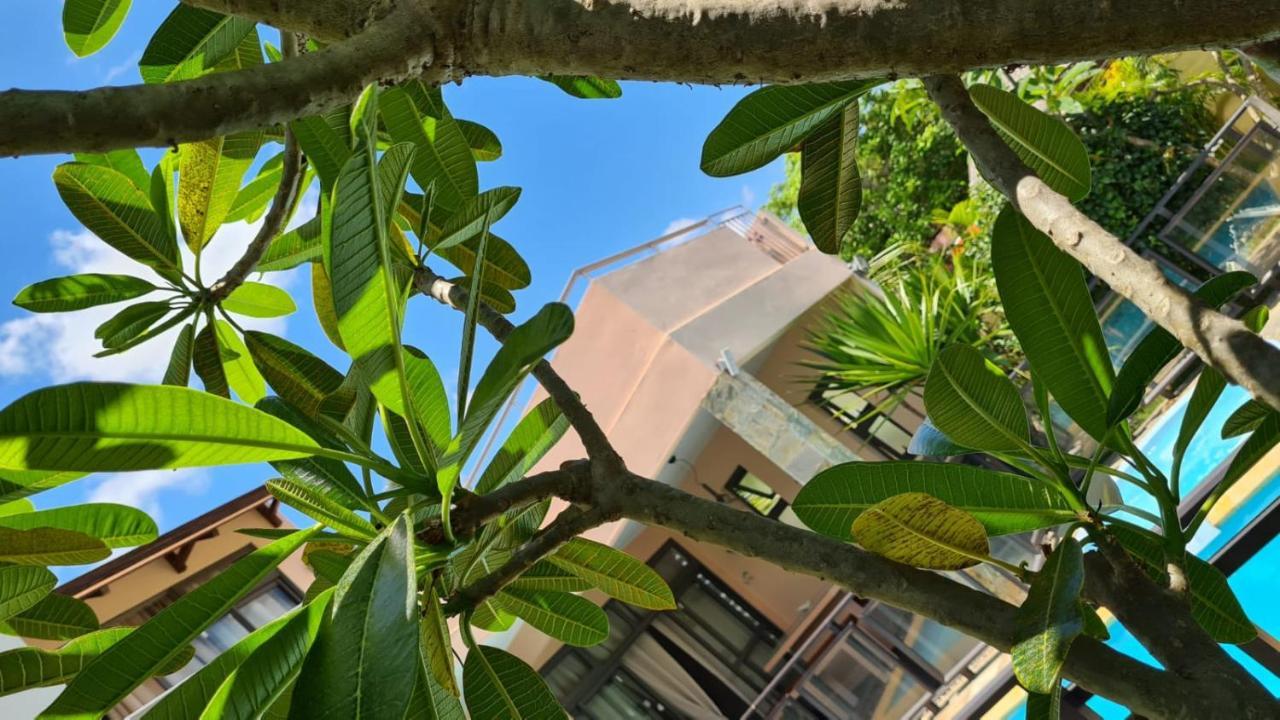 Villa Centre グランベ エクステリア 写真